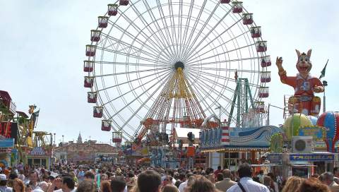 Abierto el plazo para solicitar licencias de atracciones en la Feria del Caballo 2026