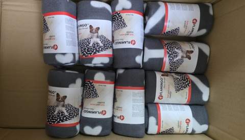 La normalidad vuelve al Centro Municipal de Protecci&oacute;n Animal tras las inundaciones