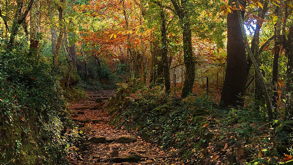 Sierra de Aracena - Huelva