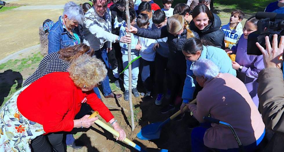 Plantaci&oacute;n de un &aacute;rbol