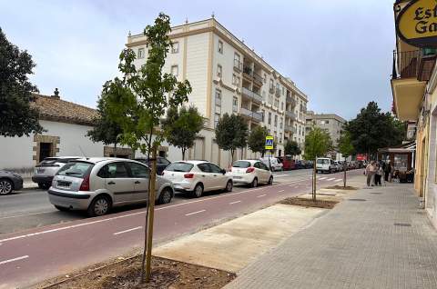 El Ayuntamiento de Jerez culmina la transformaci&oacute;n de la calle Porvenir con un nuevo pulm&oacute;n ornamental