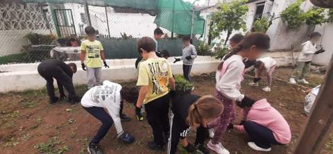 La Diputaci&oacute;n de C&aacute;diz premia la excelencia sostenible con la quinta edici&oacute;n de los mejores huertos educativos