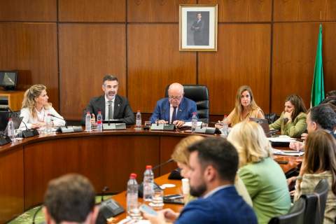 El Parlamento andaluz aprueba flexibilizar los pagos de agua para aliviar al sector agrario