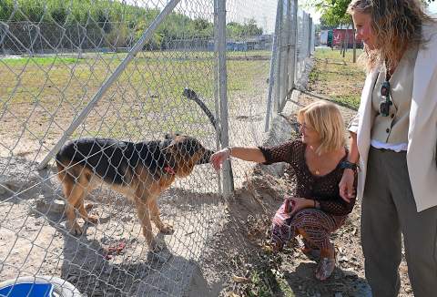 Jerez refuerza la seguridad y el bienestar de sus animales con una nueva Comisi&oacute;n de Seguimiento