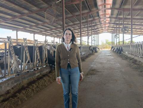 VOX denuncia la exclusi&oacute;n del sector de la vaca lechera de las ayudas de la Junta tras las borrascas