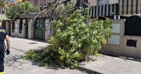 El fuerte viento moviliza a los bomberos de Jerez con 15 intervenciones por ca&iacute;das de objetos y elementos inestables