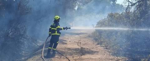 Los bomberos de Puerto Real y Jerez extinguen un incendio de 7.000 metros cuadrados de vegetaci&oacute;n junto a la AP-4