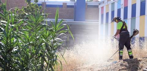 Refuerzo del mantenimiento en los colegios con un plan especial de desbroce