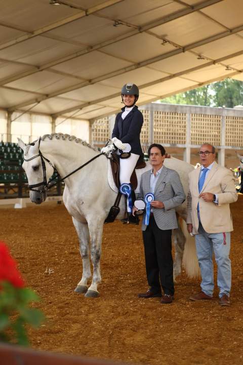 La excelencia Hispano-&Aacute;rabe y el Pura Raza Espa&ntilde;ola brillan en la clausura del certamen morfol&oacute;gico