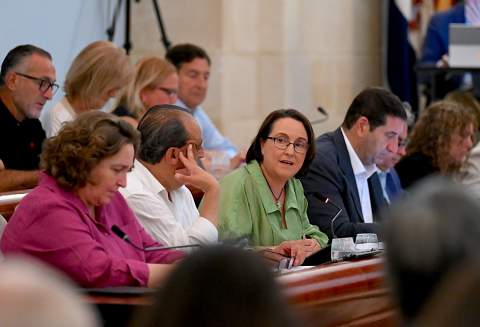 El Pleno de Jerez respalda por unanimidad el plan estrat&eacute;gico de ACOJE para revitalizar el comercio del centro