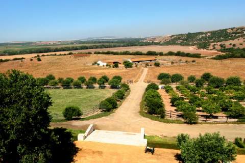 Luz verde urban&iacute;stica para convertir un hist&oacute;rico cortijo ganadero en una nueva casa rural en Jerez