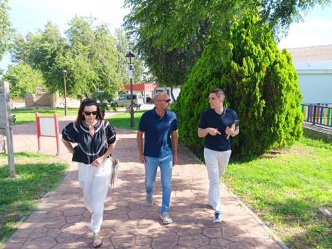 Torrecera se beneficia del nuevo contrato de parques y jardines con la poda de palmeras tras a&ntilde;os de abandono