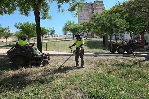 Campa&ntilde;a masiva de desbroce en Jerez: las brigadas municipales act&uacute;an en parques urbanos y la zona rural