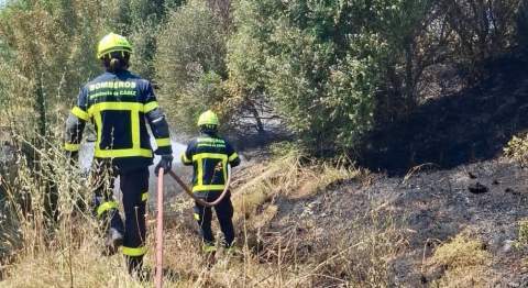 R&aacute;pida intervenci&oacute;n de los Bomberos evita que un incendio de trigal alcance viviendas en El Torno