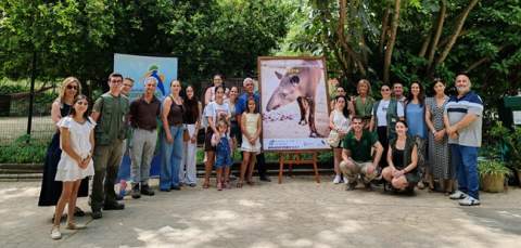 El Zoobot&aacute;nico de Jerez suma una alianza empresarial para mejorar el bienestar del tapir amaz&oacute;nico