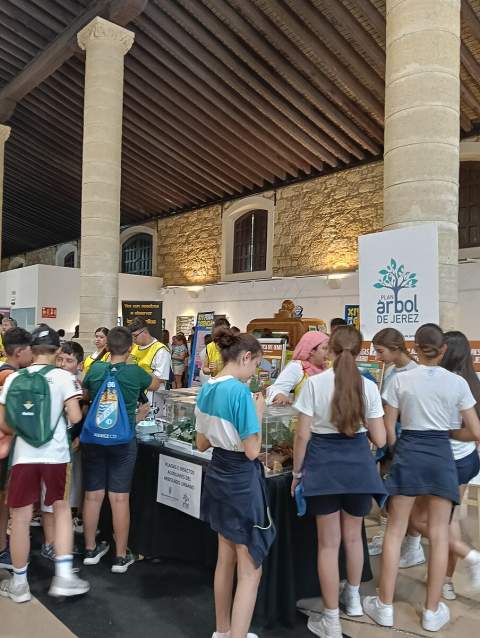El stand de Medio Ambiente triunfa en la Feria de la Ciencia de Jerez con su propuesta sobre biodiversidad urbana