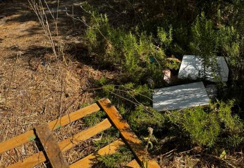 Denuncian una situaci&oacute;n de "insalubridad extrema" en la barriada rural de Mesas de Asta Regia