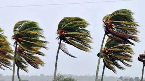 Aviso amarillo: el fuerte viento de levante soplar&aacute; con rachas de hasta 70 km/h