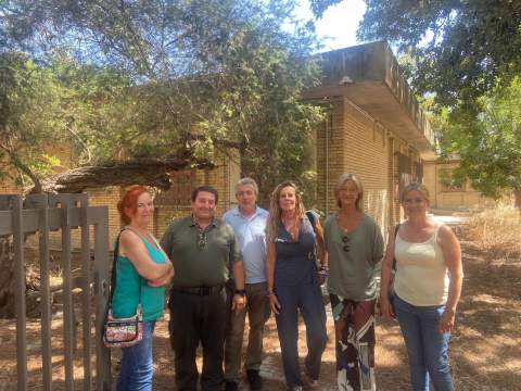 Bienestar Animal despliega sesenta m&oacute;dulos habitacionales para ordenar las colonias de gatos callejeros