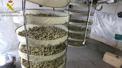 Desmantelada una plantaci&oacute;n de marihuana 'indoor' en una vivienda de Jerez con dos detenidos