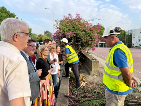 El Ayuntamiento arranca en La Granja la obra del nuevo colector para frenar las inundaciones con 1,5 millones de inversi&oacute;n