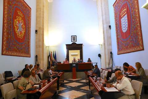 El Pleno aprueba pedir casi 7 millones al ICO para sufragar 117 obras tras las inundaciones de 2026