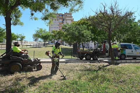 Freno a la maleza seca: operativo especial en Jerez para blindar viales y solares contra los fuegos del verano