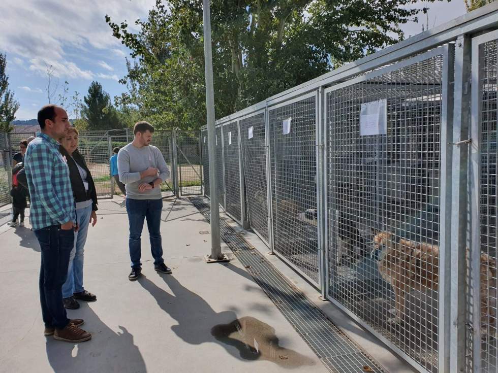 El PSOE acusa al gobierno de Jerez de utilizar a las protectoras &ldquo;para la foto&rdquo; y de desviar 60.000 euros de Protecci&oacute;n Animal