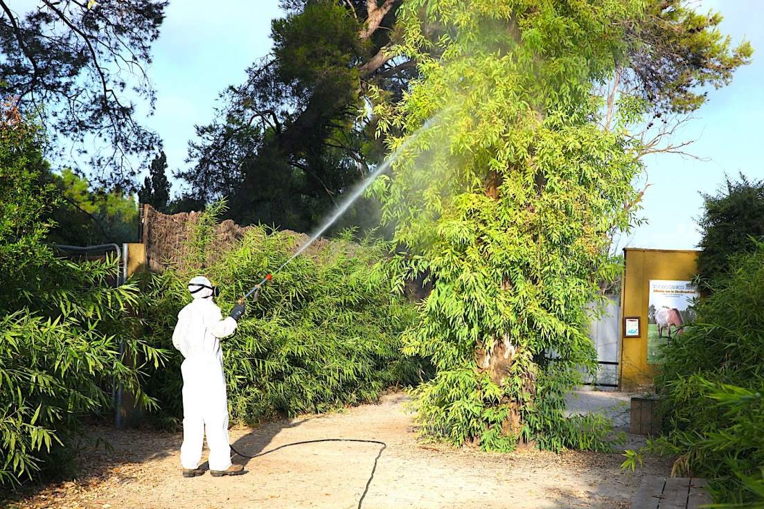 Servicio de Protecci&oacute;n Animal refuerza la fumigaci&oacute;n y el control de vectores en el Zoobot&aacute;nico tras detectarse el virus del Nilo en dos aves