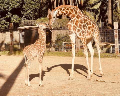 El Centro de Conservaci&oacute;n de la Biodiversidad Zoobot&aacute;nico acoge recorridos guiados para conocer su patrimonio hist&oacute;rico y natural