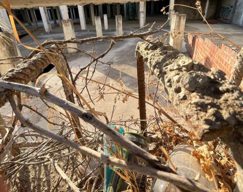 Adelante reclama inspecci&oacute;n de una obra abandonada con agua estancada cerca del Zoobot&aacute;nico