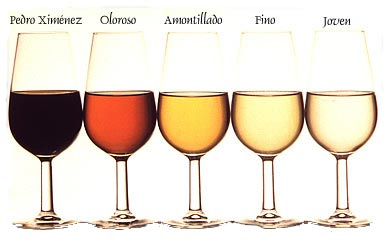La Uni&oacute;n Europea aprueba cambios en el vino de Jerez: el Fino tendr&aacute; menos alcohol y se controlar&aacute; m&aacute;s la producci&oacute;n