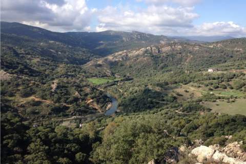 Los Alcornocales, el gran laboratorio natural donde Andaluc&iacute;a ensaya el futuro frente al cambio clim&aacute;tico