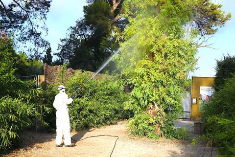 Servicio de Protecci&oacute;n Animal refuerza la fumigaci&oacute;n y el control de vectores en el Zoobot&aacute;nico tras detectarse el virus del Nilo en dos aves