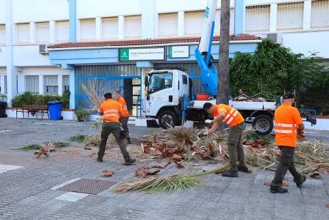 Los colegios de Jerez se preparan para el nuevo curso con una intensa poda de sus zonas verdes
