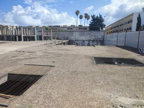 El Ayuntamiento de Jerez desmiente la existencia de una balsa de agua estancada junto al Zoobot&aacute;nico