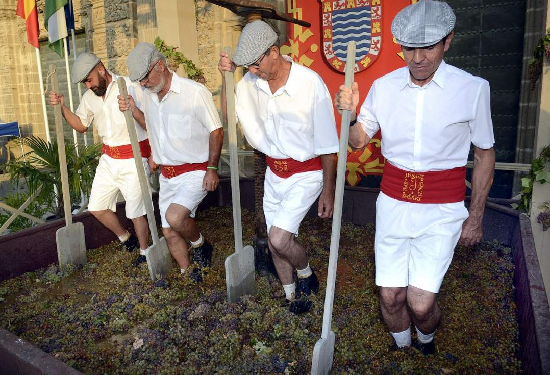 Jerez arranca hoy sus Fiestas de la Vendimia 2026 con la tradicional Pisa de la Uva y grandes exposiciones