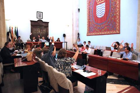 El Pleno desbloquea la reorganizaci&oacute;n de los terrenos de Croft y aprueba una explotaci&oacute;n porcina en El Olivillo