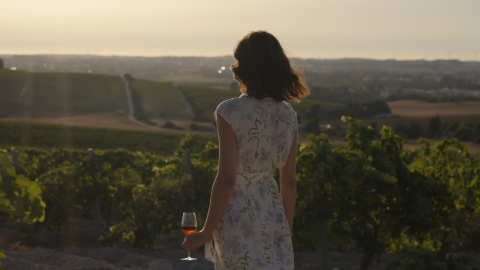 La Ruta del Vino respalda la candidatura de Jerez a Ciudad Espa&ntilde;ola del Vino 2027