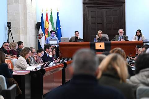 Jerez registra un 87,9% menos de nuevas viviendas tur&iacute;sticas tras la nueva regulaci&oacute;n urban&iacute;stica
