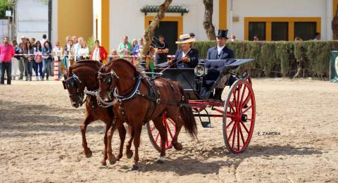 Los enganches volver&aacute;n al Parque Gonz&aacute;lez Hontoria con una jornada abierta a las familias