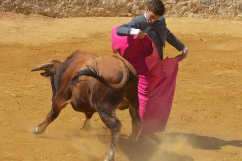La Fundaci&oacute;n Cultura Taurina busca integrarse en las escuelas taurinas andaluzas con el respaldo del Ayuntamiento de Jerez
