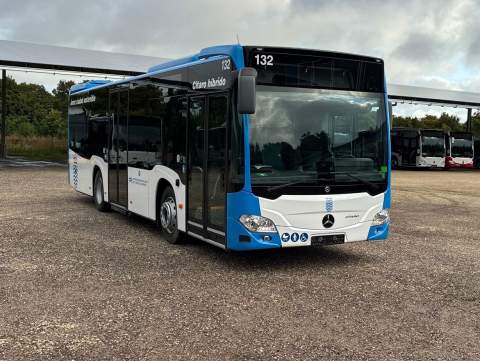 C&oacute;mo ir en autob&uacute;s al cementerio de Jerez por Todos los Santos: l&iacute;neas, horarios y el nuevo autob&uacute;s directo desde Angustias