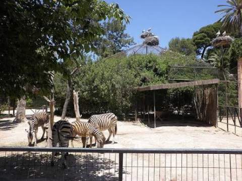 El Zoobot&aacute;nico de Jerez cancela las actividades de Halloween, pero mantiene una promoci&oacute;n para los ni&ntilde;os disfrazados