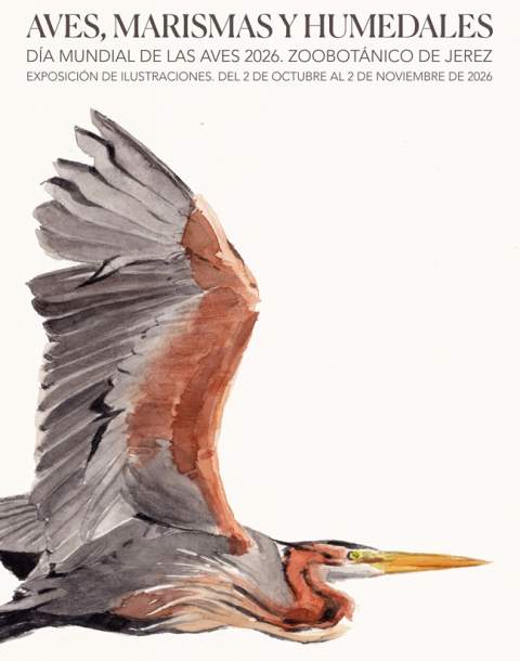 Las aves y los humedales unen a las escuelas de arte de Jerez y Valencia en una nueva exposici&oacute;n